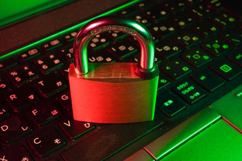 payment fraud detection definition merchant services AVS CVV chargeback prevention