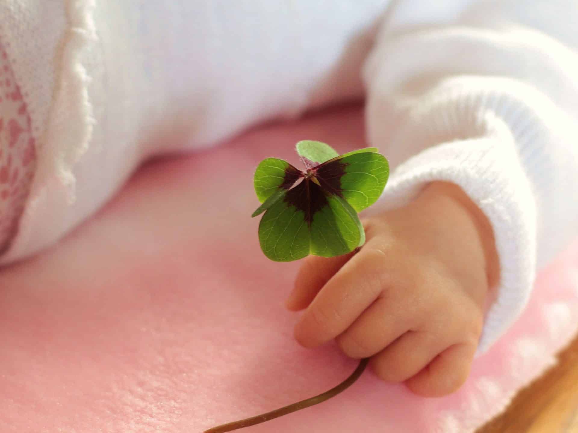Clover problems merchant locked into POS contract lease